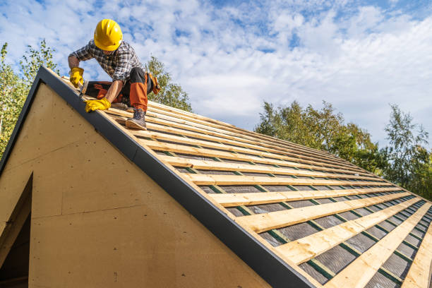 Best Roof Gutter Cleaning  in Ashland, PA